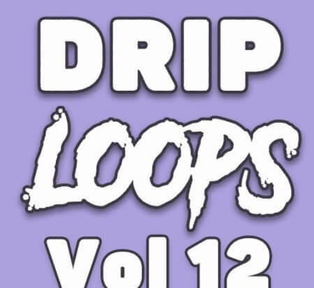 DiyMusicBiz Drip Loops Vol.12 WAV